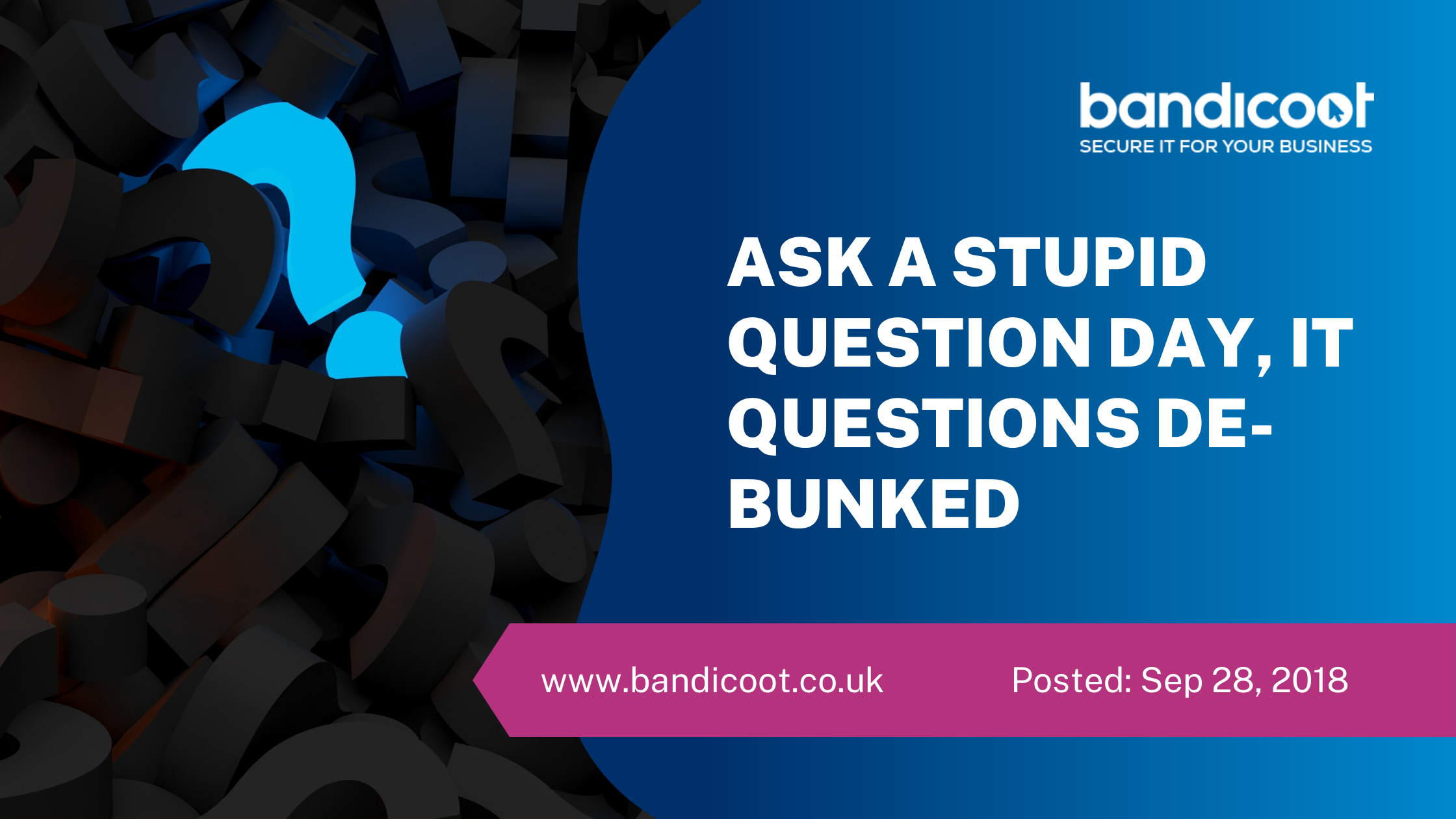 Stupid Questions Service Ask a Stupid Question Day, IT Questions De-Bunked