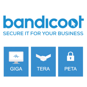 New IT Support Packages From Bandicoot
