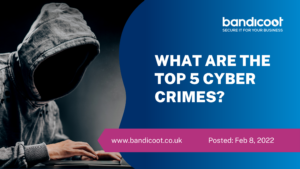 Top 5 Cyber Crimes