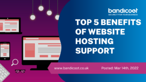 website hosting support